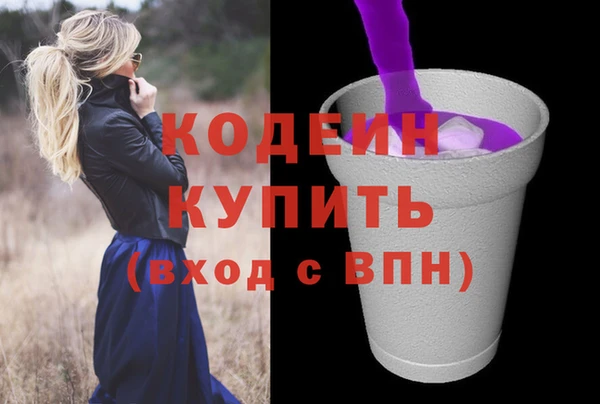 крисы Верхний Тагил