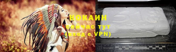 крисы Верхний Тагил