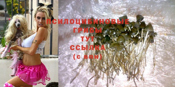 крисы Верхний Тагил