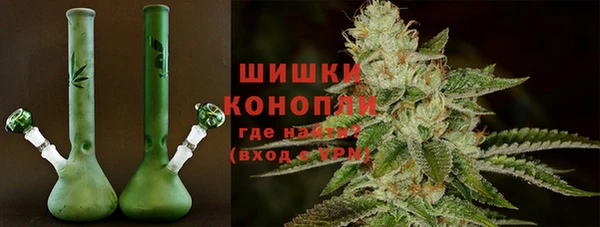 стаф Верея