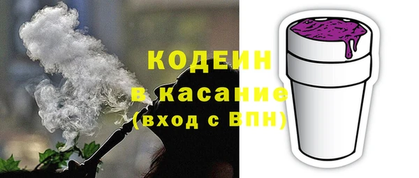 стаф Верея