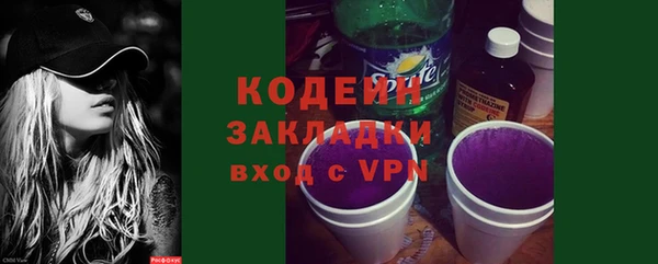 крисы Верхний Тагил