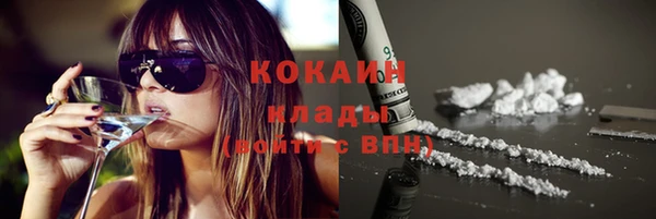 стаф Верея