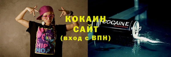 стаф Верея