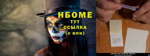 стаф Верея