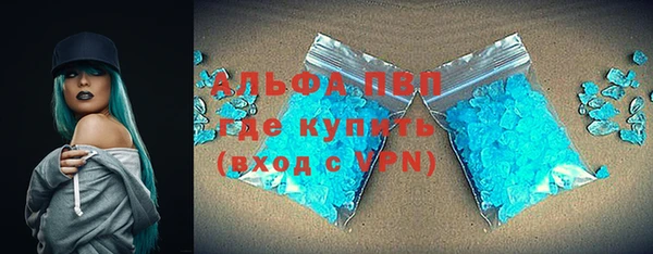 стаф Верея