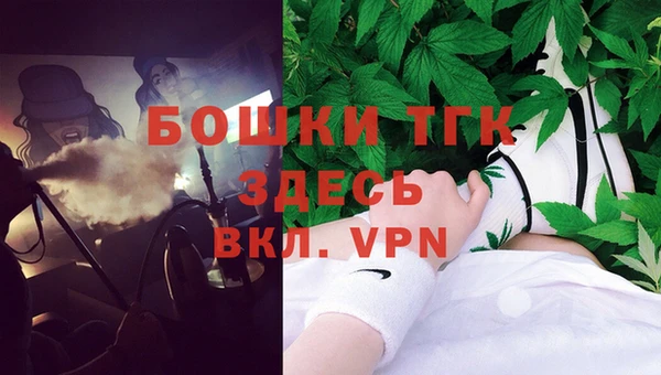 стаф Верея