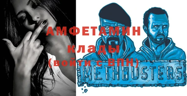 стаф Верея