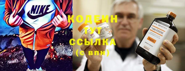 крисы Верхний Тагил