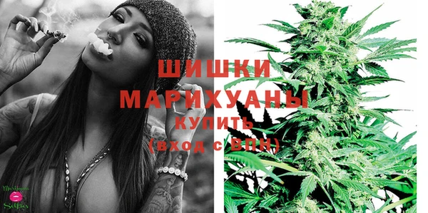 крисы Верхний Тагил